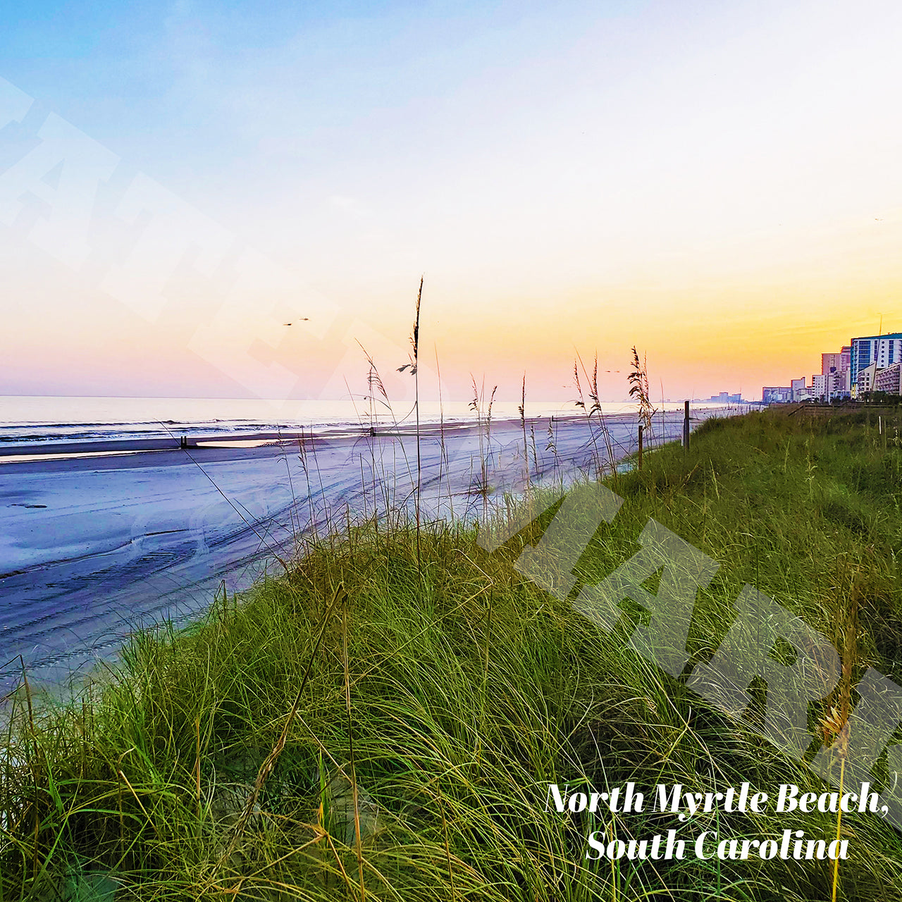 Beach scene with grass and ocean, featuring 'North Myrtle Beach, South Carolina' text.