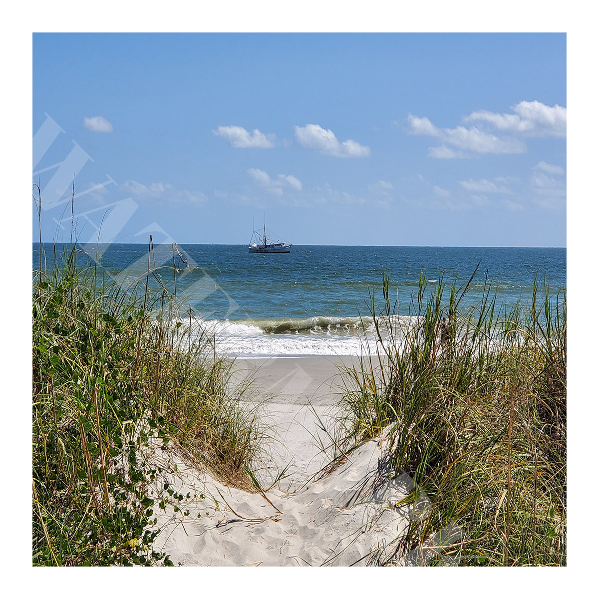 Beach scene with a path leading to the ocean and a boat in the distance.